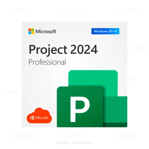 MICROSOFT PROJECT 2024 PROFESSIONAL OFFICE 365 PERPETUA