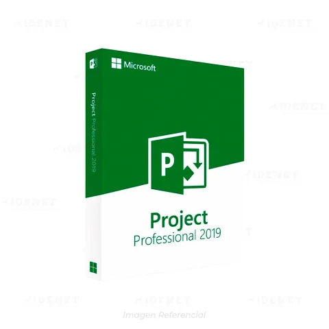 MICROSOFT PROJECT 2019 PROFESSIONAL GLOBAL